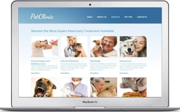 Pet Clinic Theme