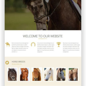 Pferde Webseite