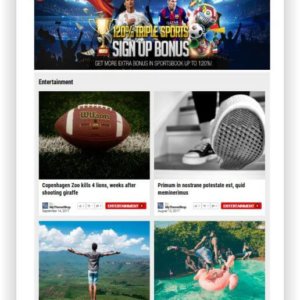 WordPress Sport Magazin Thema